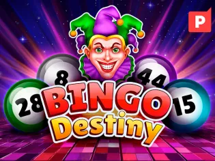 Bingo Destiny screenshot